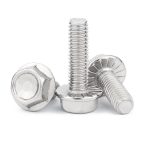 Śruba kołnierza SS